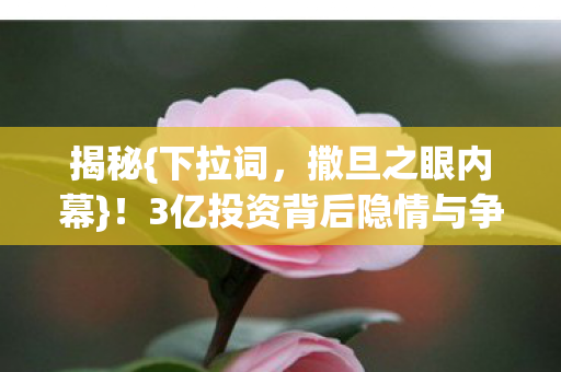 揭秘{下拉词，撒旦之眼内幕}！3亿投资背后隐情与争吵真相