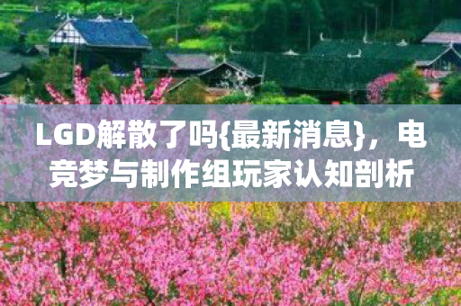 LGD解散了吗{最新消息}，电竞梦与制作组玩家认知剖析