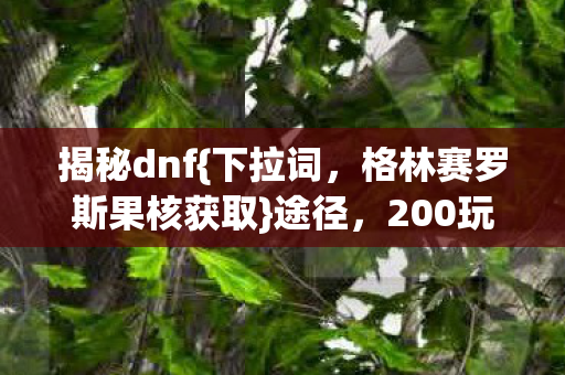揭秘dnf{下拉词，格林赛罗斯果核获取}途径，200玩家吐槽机制