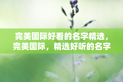 完美国际好看的名字精选，完美国际，精选好听的名字