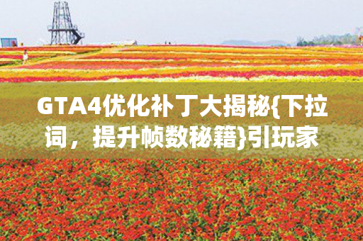 GTA4优化补丁大揭秘{下拉词，提升帧数秘籍}引玩家热议