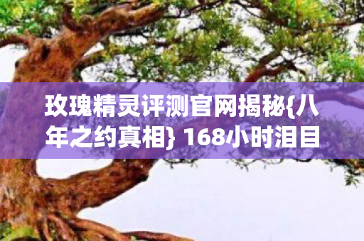 玫瑰精灵评测官网揭秘{八年之约真相} 168小时泪目评测