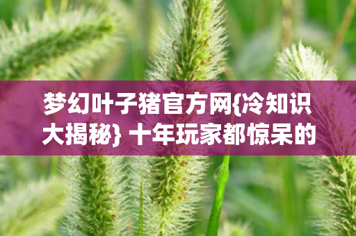 梦幻叶子猪官方网{冷知识大揭秘} 十年玩家都惊呆的操作