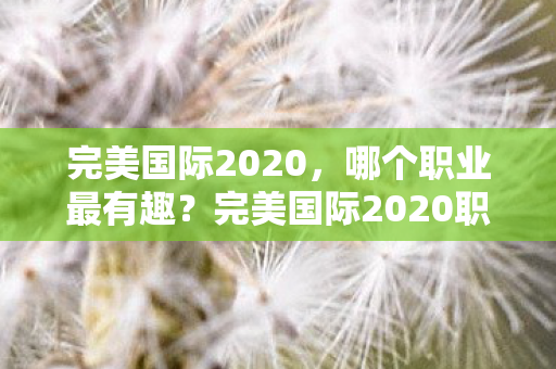 完美国际2020，哪个职业最有趣？完美国际2020职业趣味排行，哪个职业最有趣？