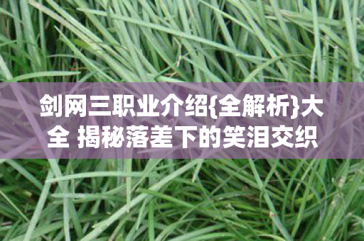 剑网三职业介绍{全解析}大全 揭秘落差下的笑泪交织