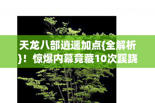 天龙八部逍遥加点{全解析}！惊爆内幕竟藏10次蹊跷