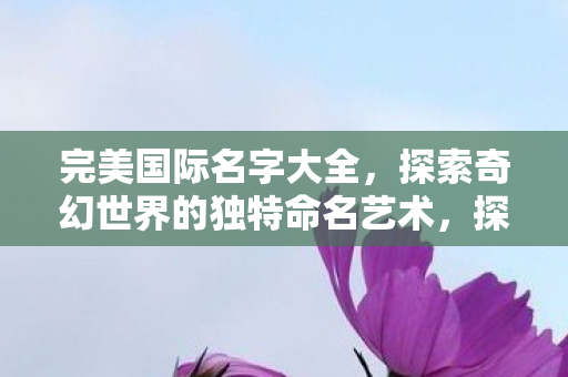 完美国际名字大全，探索奇幻世界的独特命名艺术，探索完美国际的奇幻命名艺术，名字大全