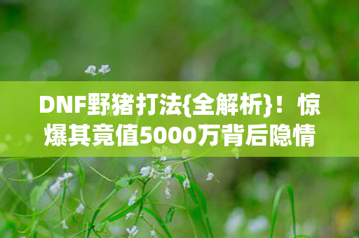 DNF野猪打法{全解析}！惊爆其竟值5000万背后隐情