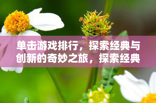 单击游戏排行，探索经典与创新的奇妙之旅，探索经典与创新，单击游戏排行榜奇妙之旅
