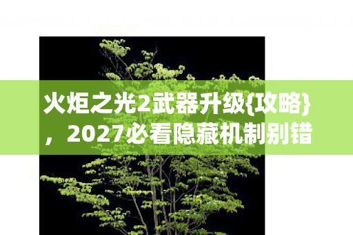 火炬之光2武器升级{攻略}，2027必看隐藏机制别错过