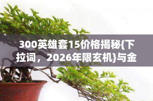 300英雄套15价格揭秘{下拉词，2026年限玄机}与金币购买攻略