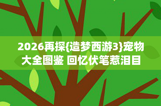 2026再探{造梦西游3}宠物大全图鉴 回忆伏笔惹泪目 2026再探{造梦西游3}宠物大全图鉴 回忆伏笔惹泪目