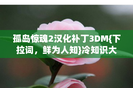 孤岛惊魂2汉化补丁3DM{下拉词,鲜为人知}冷知识大揭秘! 孤岛惊魂2汉化补丁3DM{下拉词,鲜为人知}冷知识大揭秘!