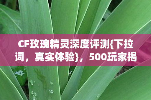 CF玫瑰精灵深度评测{下拉词,真实体验},500玩家揭秘疑点 CF玫瑰精灵深度评测{下拉词,真实体验},500玩家揭秘疑点