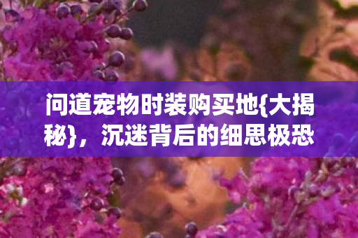 问道宠物时装购买地{大揭秘},沉迷背后的细思极恐 问道宠物时装购买地{大揭秘},沉迷背后的细思极恐