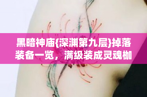 黑暗神庙{深渊第九层}掉落装备一览,满级装成灵魂枷锁! 黑暗神庙{深渊第九层}掉落装备一览,满级装成灵魂枷锁!