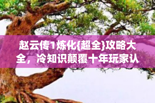赵云传1炼化{超全}攻略大全,冷知识颠覆十年玩家认知! 赵云传1炼化{超全}攻略大全,冷知识颠覆十年玩家认知!