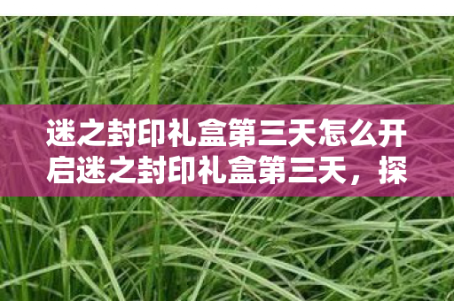 迷之封印礼盒第三天怎么开启迷之封印礼盒第三天，探索未知，解锁惊喜，探索未知，揭秘迷之封印礼盒第三天开启方法