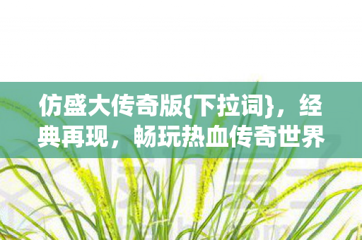 仿盛大传奇版{下拉词}，经典再现，畅玩热血传奇世界