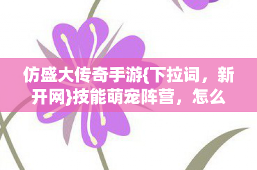 仿盛大传奇手游图片