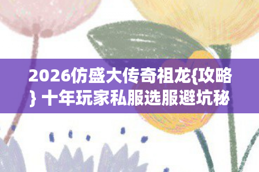 十年玩家私服选服避坑秘籍图片
