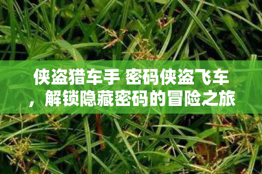 侠盗猎车手 密码侠盗飞车，解锁隐藏密码的冒险之旅，侠盗飞车，解锁隐藏密码的冒险之旅