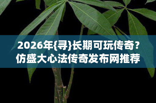 仿盛大心法传奇发布网推荐图片