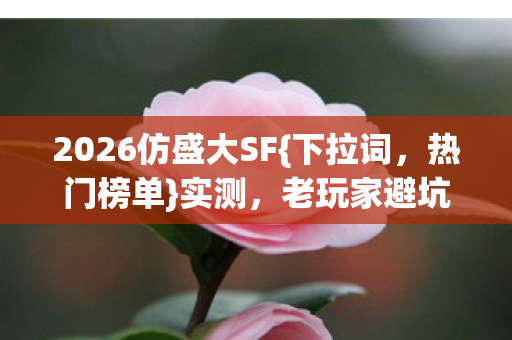 老玩家避坑Top3推荐图片