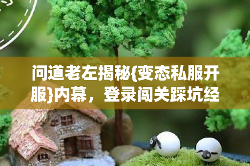 登录闯关踩坑经历分享图片