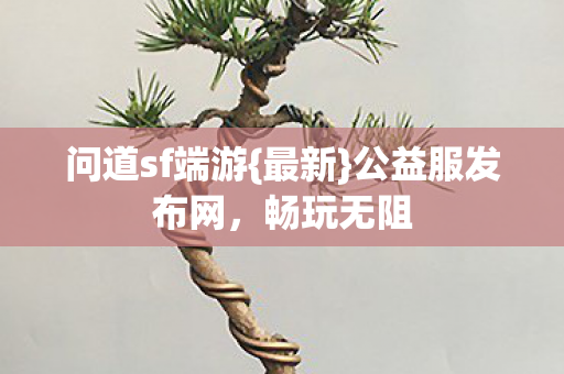 问道sf端游图片