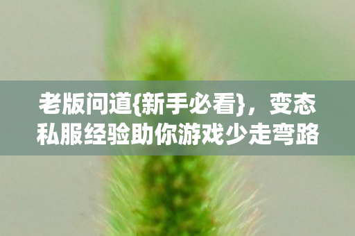变态私服经验助你游戏少走弯路图片