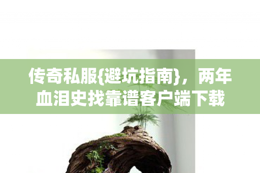 两年血泪史找靠谱客户端下载图片