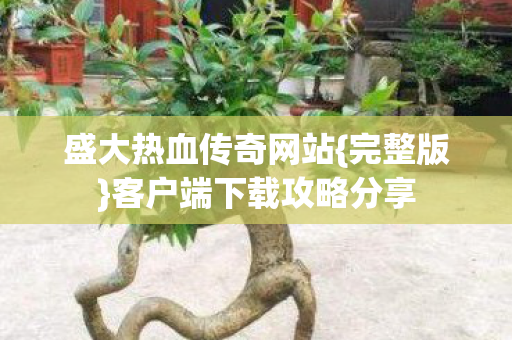 客户端下载攻略分享图片
