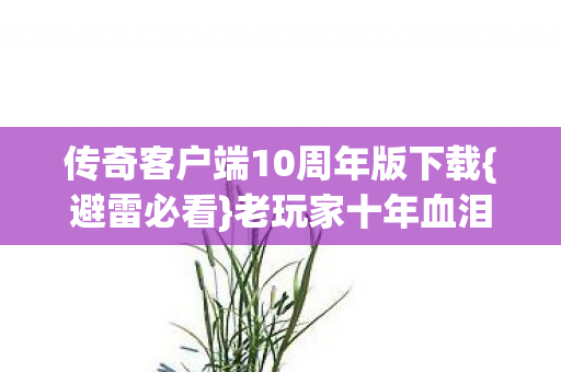 传奇客户端10周年版下载图片