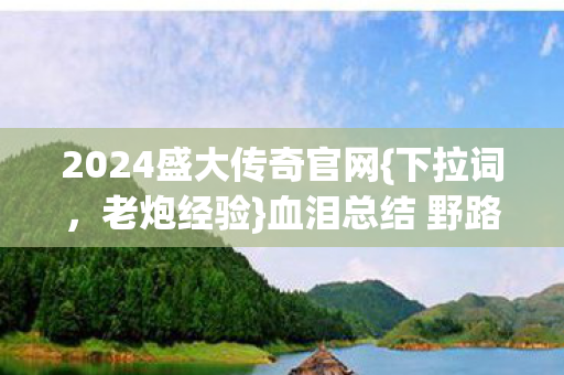 血泪总结 野路子带队秘籍图片