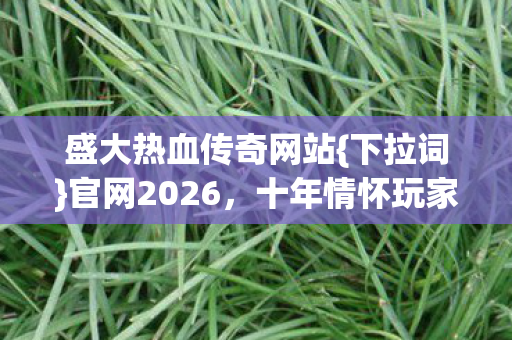 十年情怀玩家防坑必看手册图片