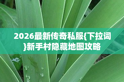 2026最新传奇私服图片