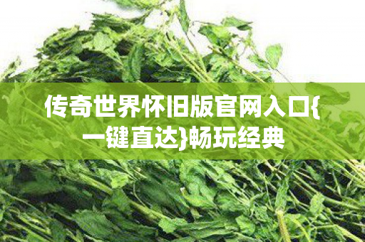传奇世界怀旧版官网入口图片