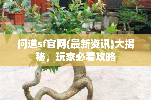 问道sf官网{最新资讯}大揭秘,玩家必看攻略 问道sf官网{最新资讯}大揭秘,玩家必看攻略