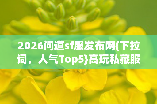 2026问道sf服发布网图片