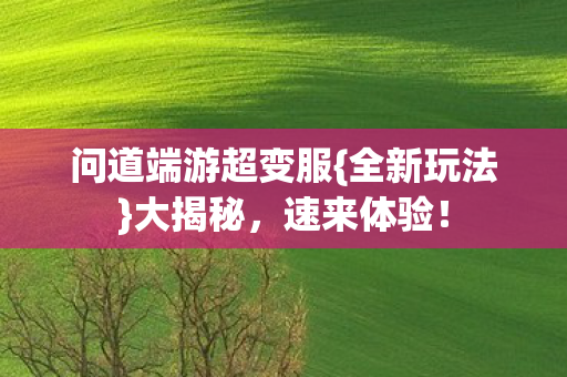 问道端游超变服图片