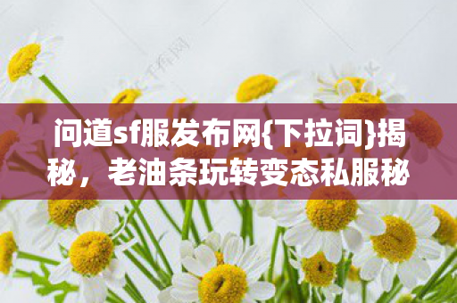 问道sf服发布网{下拉词}揭秘，老油条玩转变态私服秘籍