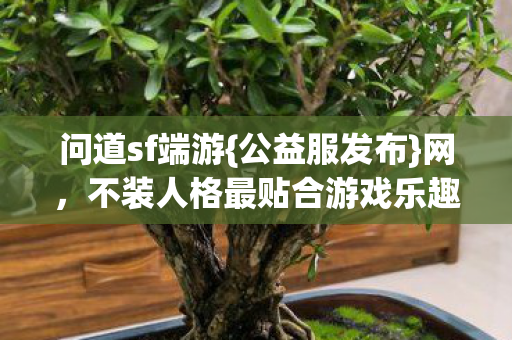 不装人格最贴合游戏乐趣图片