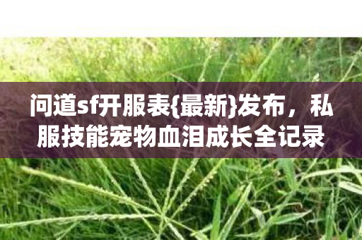 私服技能宠物血泪成长全记录图片