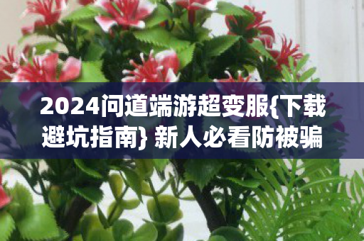 2024问道端游超变服图片