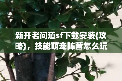 新开老问道sf下载安装{攻略},技能萌宠阵营怎么玩才野? 新开老问道sf下载安装{攻略},技能萌宠阵营怎么玩才野?