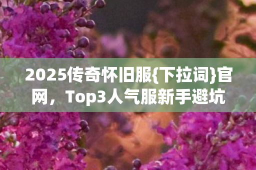 Top3人气服新手避坑指南图片