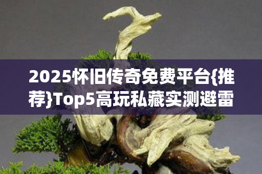 2025怀旧传奇免费平台图片