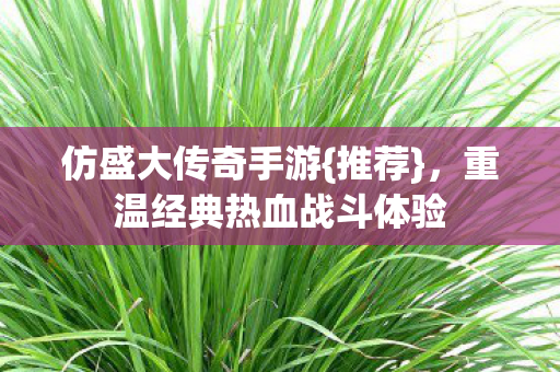 重温经典热血战斗体验图片