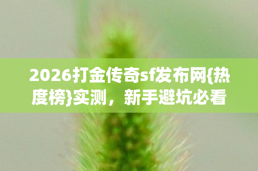 2026打金传奇sf发布网图片